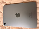 Apple/蘋(píng)果 iPad mini (A17 Pro) 8.3英寸 平板電腦(128G WLAN版/mini7/MXN73CH/A)藍色 曬單實(shí)拍圖