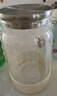 小熊（Bear）家用冷水壺 高硼硅玻璃杯 防燙硅膠底1.8L大容量涼水壺杯子啤酒杯 曬單實(shí)拍圖