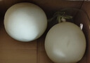 京鮮生海南頭茬玉菇甜瓜 凈重4.5斤+2粒裝 水果源頭直發(fā)包郵 曬單實(shí)拍圖
