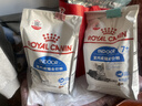 皇家室內成貓糧 I27 通用糧 12月以上 2KG 曬單實(shí)拍圖