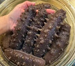 胖東來(lái)同款干海參一斤散裝500g大連淡干海參干貨純淡干海參禮盒 大連野生遼刺參 超大號/干海參【60個(gè)】 曬單實(shí)拍圖