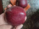 京鮮生 天水花牛蘋(píng)果 凈重7斤 單果260g+ 生鮮水果源頭直發(fā) 曬單實(shí)拍圖