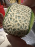 京鮮生 網(wǎng)紋蜜瓜 1粒裝 單果2斤起 生鮮水果   曬單實(shí)拍圖