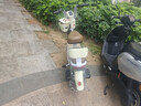 鳳凰（Phoenix）電動(dòng)車(chē)新款女生小型輕便新國標電動(dòng)自行車(chē)成人電瓶車(chē)雙人代步通勤長(cháng)續航電單車(chē)兩輪助力車(chē) 奶油白【全國聯(lián)保 終身保障】 【鉛酸】12A載能-助力續航65公里 曬單實(shí)拍圖