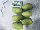 庾豐 海南芒果 新鮮水果生鮮整箱當季大青皮金煌芒 熱帶孕婦玉芒果 5斤裝(凈果4.5斤)單果200g+ 曬單實(shí)拍圖