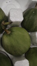 京氿生東北綠寶甜瓜當季頭茬脆甜香瓜時(shí)令水果綠寶石小蜜瓜源頭直發(fā)整箱 【嘗鮮自吃】3斤裝(約4-8個(gè)) 曬單實(shí)拍圖