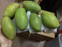 余悅海南金煌芒 【多地次日達】新鮮現摘水仙大芒果青皮甜心芒果整箱 帶箱5斤【精選好果丨單果300-350g】?jì)?.5斤 曬單實(shí)拍圖