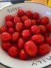 廣西新鮮紅圣女果小番茄蔬菜沙拉水果超市買(mǎi)菜整箱快遞包郵 精選新鮮（單果8g+） 4.5斤 凈重 泡沫箱裝 曬單實(shí)拍圖