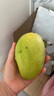 玖原農珍 海南大青皮金煌甜心芒當季優(yōu)選芒果 生鮮水果新鮮現摘芒果 含箱5斤凈果4.5斤優(yōu)選果 曬單實(shí)拍圖