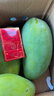 進(jìn)口正宗大青芒果越南酸甜可口純甜無(wú)絲京東 產(chǎn)地直發(fā) 帶箱5斤裝，凈重4.5斤，單果1斤起 曬單實(shí)拍圖