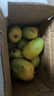 元珍鮮誠優(yōu)選芒果 熱帶甜心青皮金煌芒新鮮水果現摘整箱送禮 凈重9斤甄選果 曬單實(shí)拍圖