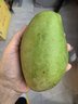 海南果園直采新鮮大青金煌甜心芒果含箱5斤凈果4.5斤芒果300g 曬單實(shí)拍圖