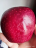京鮮生 甘肅天水花牛蘋(píng)果 又大又紅 凈重4斤 單果160g起 生鮮水果 曬單實(shí)拍圖