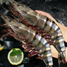 天縱良材進(jìn)口巨型黑虎蝦 活凍大蝦老虎蝦斑節蝦對蝦 海鮮禮品生鮮海蝦 巨型20-24只 2.6斤(凈重)  20-22CM 曬單實(shí)拍圖