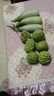 京鮮生海南網(wǎng)紋瓜 凈重4-5斤 2粒網(wǎng)紋蜜瓜 生鮮水果 源頭直發(fā)包郵 曬單實(shí)拍圖