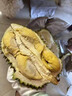 【進(jìn)口泰國金枕】金枕榴蓮新鮮果肉飽滿(mǎn)新鮮生鮮香甜軟糯包郵直達 香甜金枕凈重2-3斤(單果)保三房 曬單實(shí)拍圖