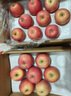 京鮮生 煙臺紅富士蘋(píng)果 凈重10斤 單果220g以上 禮盒裝 生鮮水果 曬單實(shí)拍圖
