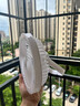 飛利蒲(PHILIPS)適用遙控桌面風(fēng)扇臺燈四合一掛壁吊扇便捷式小風(fēng)扇床上宿舍電風(fēng)扇usb充電戶(hù)外露營(yíng) 白色風(fēng)扇【遙控充電款】 曬單實(shí)拍圖