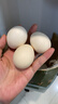 海佑農家鮮雞蛋柴雞蛋笨雞蛋五谷喂養單枚40g-50g 土雞蛋50枚 曬單實(shí)拍圖