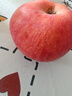 京地達山東煙臺棲霞紅富士蘋(píng)果85級9斤大果 精選煙臺蘋(píng)果水果源頭直發(fā) 曬單實(shí)拍圖