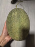 新疆西州蜜瓜1.6kg 曬單實(shí)拍圖