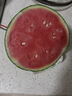 藤上熟吊秧小西瓜1粒1.5kg 曬單實(shí)拍圖