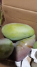 京地達海南樹(shù)上熟貴妃芒芒果凈重4.5斤單果200g+當季新鮮水果源頭發(fā)包郵 曬單實(shí)拍圖