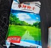 花友秀草坪種子四季青護坡草子庭院耐寒綠化工程耐寒耐旱京四季青K88】 曬單實(shí)拍圖