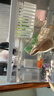 坤寧王魚(yú)缸一體缸免換水全自動(dòng)家用小型水族箱桌面生態(tài)金魚(yú)缸30*18*19cm 曬單實(shí)拍圖