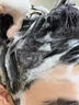 UIJO有覺(jué)洗發(fā)水去屑止癢控油持久蓬松留香柔順洗頭膏露洗發(fā)液男女士專(zhuān)用 曬單實(shí)拍圖