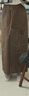 UR秋季新款女裝休閑工裝單側貼袋長(cháng)款直筒半裙UYY540009 咖棕 S 曬單實(shí)拍圖