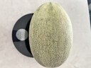 京鮮生 海南哈密瓜 西州蜜/西周蜜 1粒 單果2.5斤起 生鮮水果 曬單實(shí)拍圖
