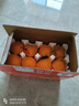 京鮮生 四川春見(jiàn)耙耙柑 凈重4-4.5斤 單果120g+生鮮水果 源頭直發(fā)包郵 曬單實(shí)拍圖