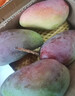 味果生海南貴妃芒果9斤新鮮當季水果孕婦樹(shù)上熟紅金龍甜心芒現摘整箱 5斤 精選大果【單果150-200g】 曬單實(shí)拍圖