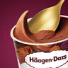 哈根達斯（Haagen-Dazs）經(jīng)典比利時(shí)巧克力口味冰淇淋 100ml/杯 雪糕 曬單實(shí)拍圖