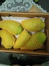 趣嘗鮮海南金煌芒果8斤禮盒單果500g+ 新鮮水果 源頭直發(fā) 包郵 曬單實(shí)拍圖