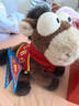問(wèn)童子[新品] 一馬當先玩偶 馬年毛絨公仔掛件玩具鑰匙扣生日新年禮物 一馬當先中偶 旗開(kāi)得勝版 曬單實(shí)拍圖