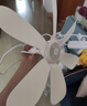 志高（CHIGO）小吊扇 小型電風(fēng)扇 小風(fēng)扇家用學(xué)生宿舍床上大風(fēng)力6頁(yè)蚊帳扇懸掛式微風(fēng)吊扇便攜小電扇 新升級-標配款6葉 曬單實(shí)拍圖