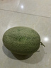 京鮮生 海南哈密瓜 西州蜜/西周蜜 1粒 單果2.5斤起 生鮮水果 曬單實(shí)拍圖