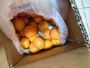京鮮生 云南賓川沃柑 凈重8斤裝 單果100g+ 生鮮水果源頭直發(fā)包郵 曬單實(shí)拍圖