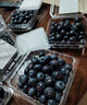云南高山藍莓新鮮現采現摘 藍莓15mm+100g-125g 6盒 曬單實(shí)拍圖