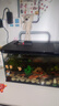 米家小米米家智能生態(tài)魚(yú)缸還原自然生態(tài)補倉一次三月無(wú)憂(yōu)出差旅行必備 曬單實(shí)拍圖
