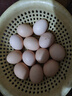 鮮雞蛋50±5克/枚 柴雞蛋農家散養笨雞蛋 新鮮雞蛋 30枚 曬單實(shí)拍圖