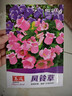 【虧本沖量】風(fēng)鈴草花種室內外庭院鈴蘭盆栽種子四季開(kāi)花易活花籽 風(fēng)鈴草種子/包約1000粒 1包 曬單實(shí)拍圖