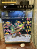 畫(huà)法幾何魚(yú)缸造景 小型魚(yú)缸米家智能魚(yú)缸專(zhuān)用蕨類(lèi)沉木造景套餐 曬單實(shí)拍圖