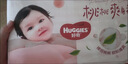 【95成新】 好奇（Huggies）鉑金裝小桃褲紙尿褲M(mǎn)144片(6-11kg)中號尿不濕【透爽散熱】   曬單實(shí)拍圖