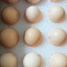京鮮生【供港品質(zhì)】【每日鮮蛋】無(wú)抗谷物雞蛋30枚3.78斤當日產(chǎn)蛋當日發(fā) 曬單實(shí)拍圖