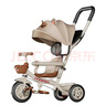 鳳凰兒童三輪車(chē)遛娃神器1-3-6歲2大號嬰兒手推車(chē)寶寶腳踏車(chē)自行車(chē) 【爆】大眼貓車(chē)棚-大推手 鈦空輪 曬單實(shí)拍圖