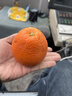 集南鮮 源頭臍橙 當季橙子新鮮水果臍橙時(shí)令生鮮水果甜橙 水果禮盒 10斤特級橙  單果150g+ 凈重9斤 推薦 曬單實(shí)拍圖