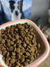 力狼狗糧 全價(jià)成犬糧 博美泰迪金毛阿拉斯加邊牧大中小犬型糧 【全新升級3.0-護胃健骨】鮮鴨肉梨40斤 曬單實(shí)拍圖